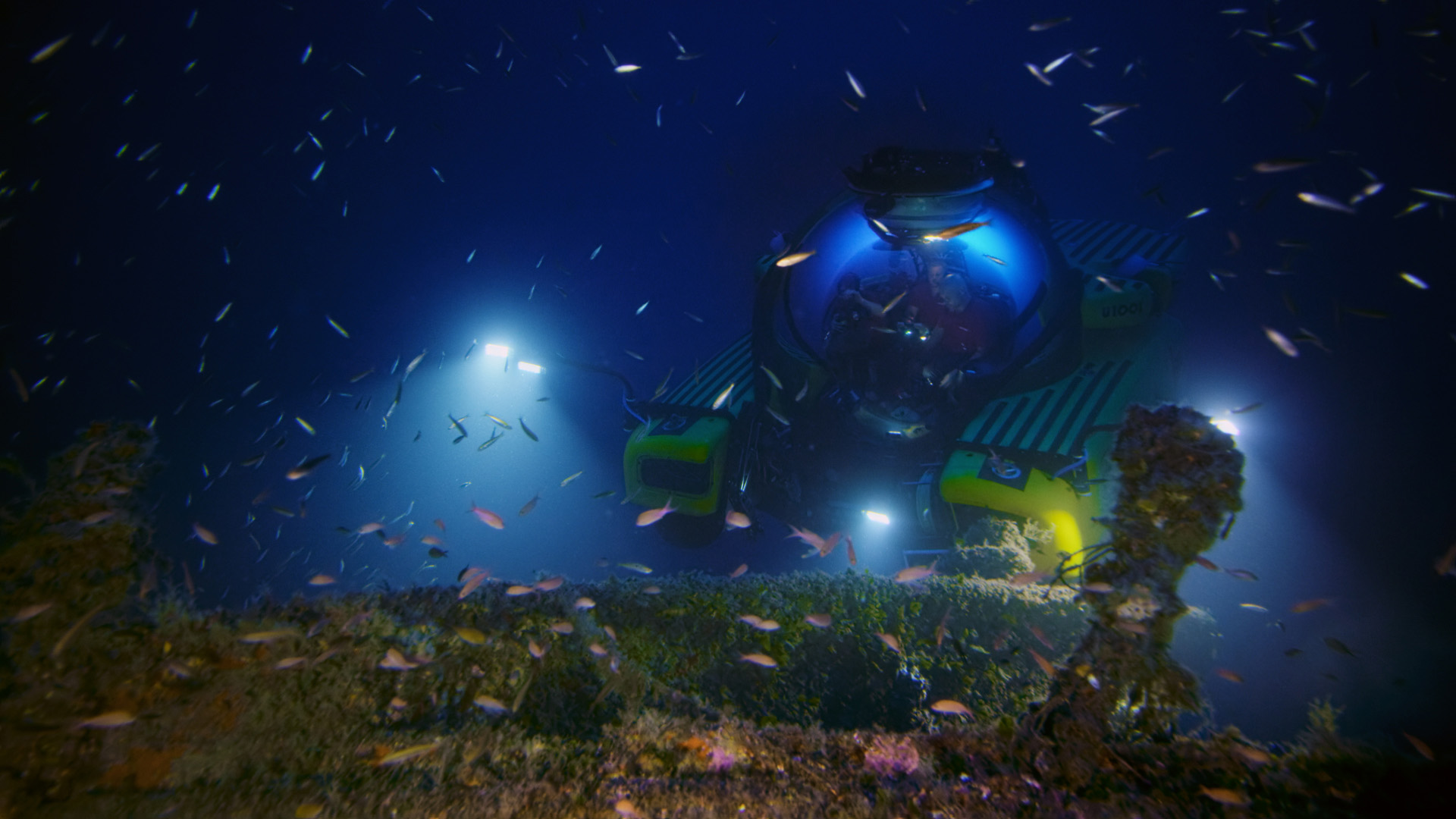 underwater exploration.jpg