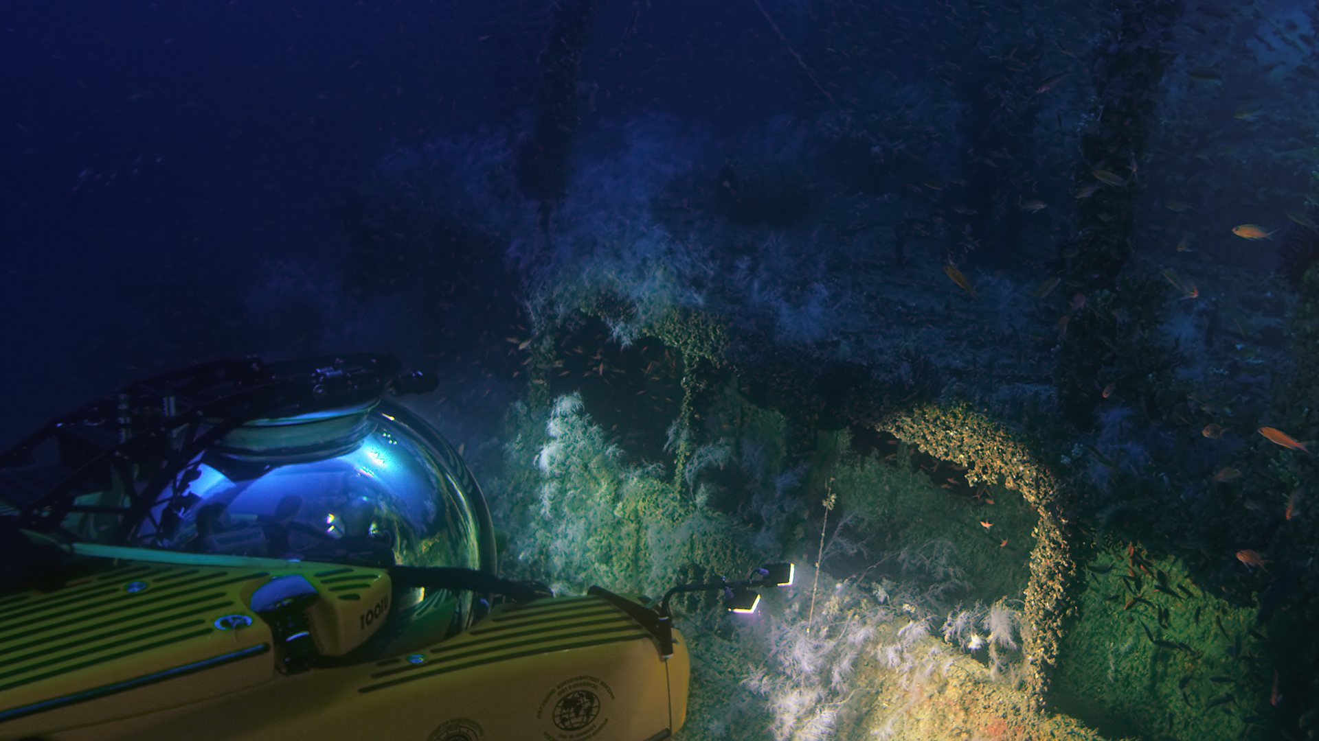 underwater world.jpg