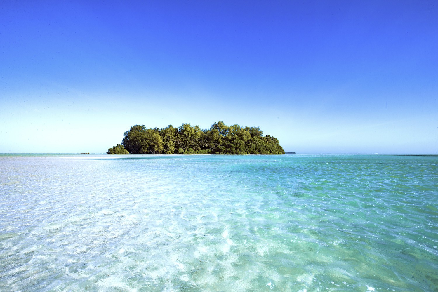 yacht charter vacations in Palau - Credit © tree m tour studio palau 2019.jpg