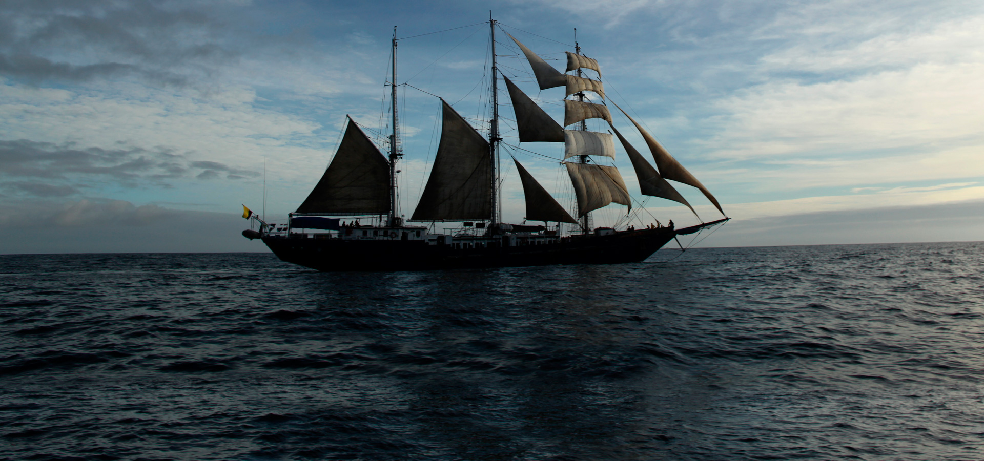 MARY ANNE II profile.jpg