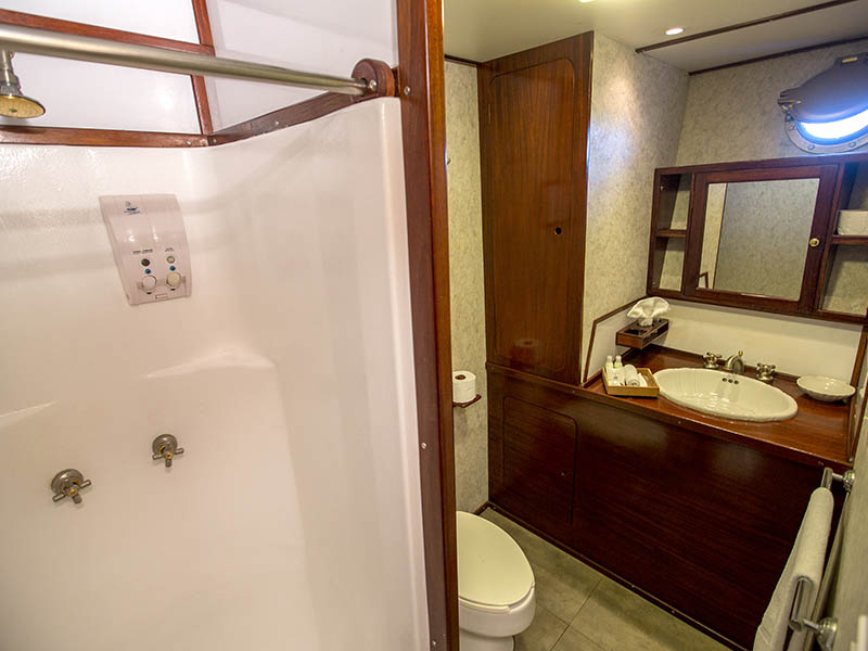 ensuite bathroom.jpg