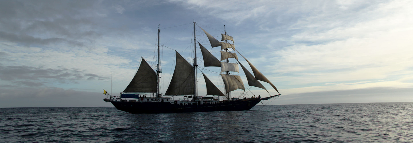 exterior of MARY ANNE II.jpg