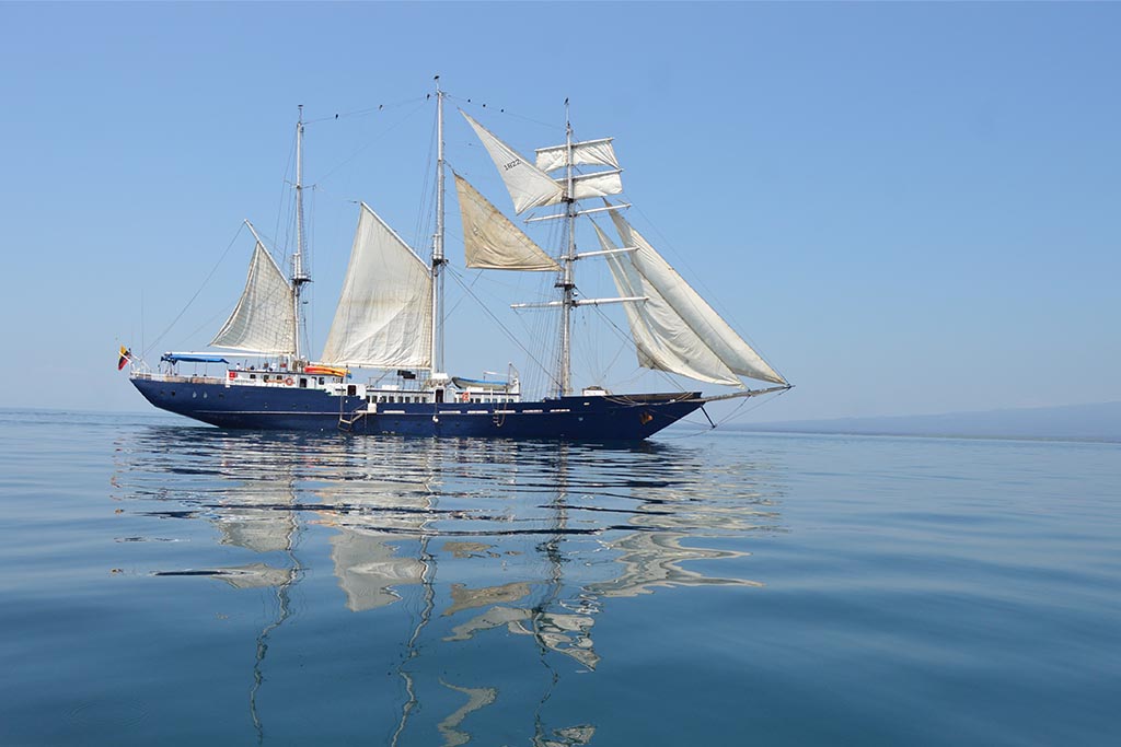 mary-anne-full-sails.jpg