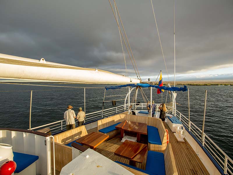 out on the deck.jpg