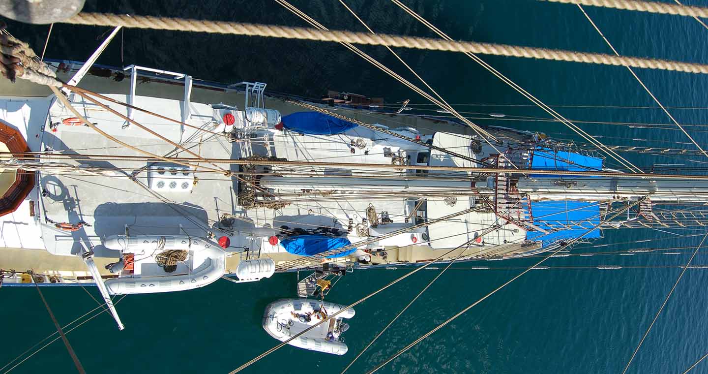 view from above.jpg