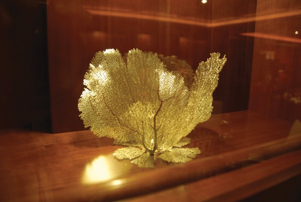 [45m-Yacht-YOU-AMPAMP-ME]-5982-172.jpg
