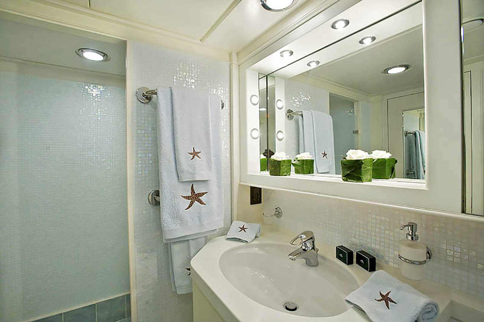 Bathroom cabin.jpg
