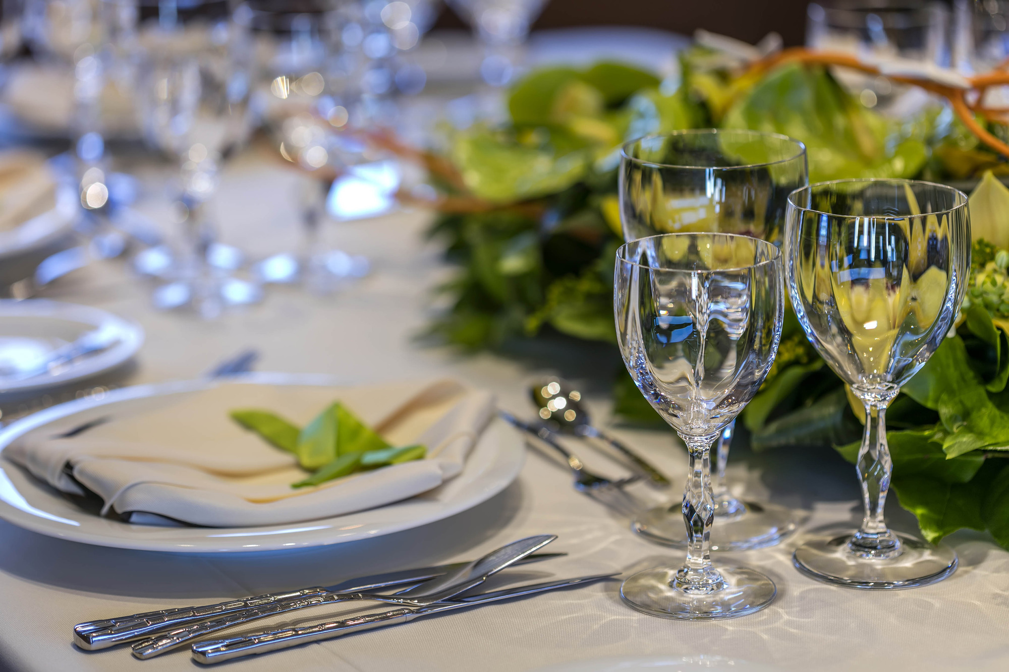 Dining setup.jpg