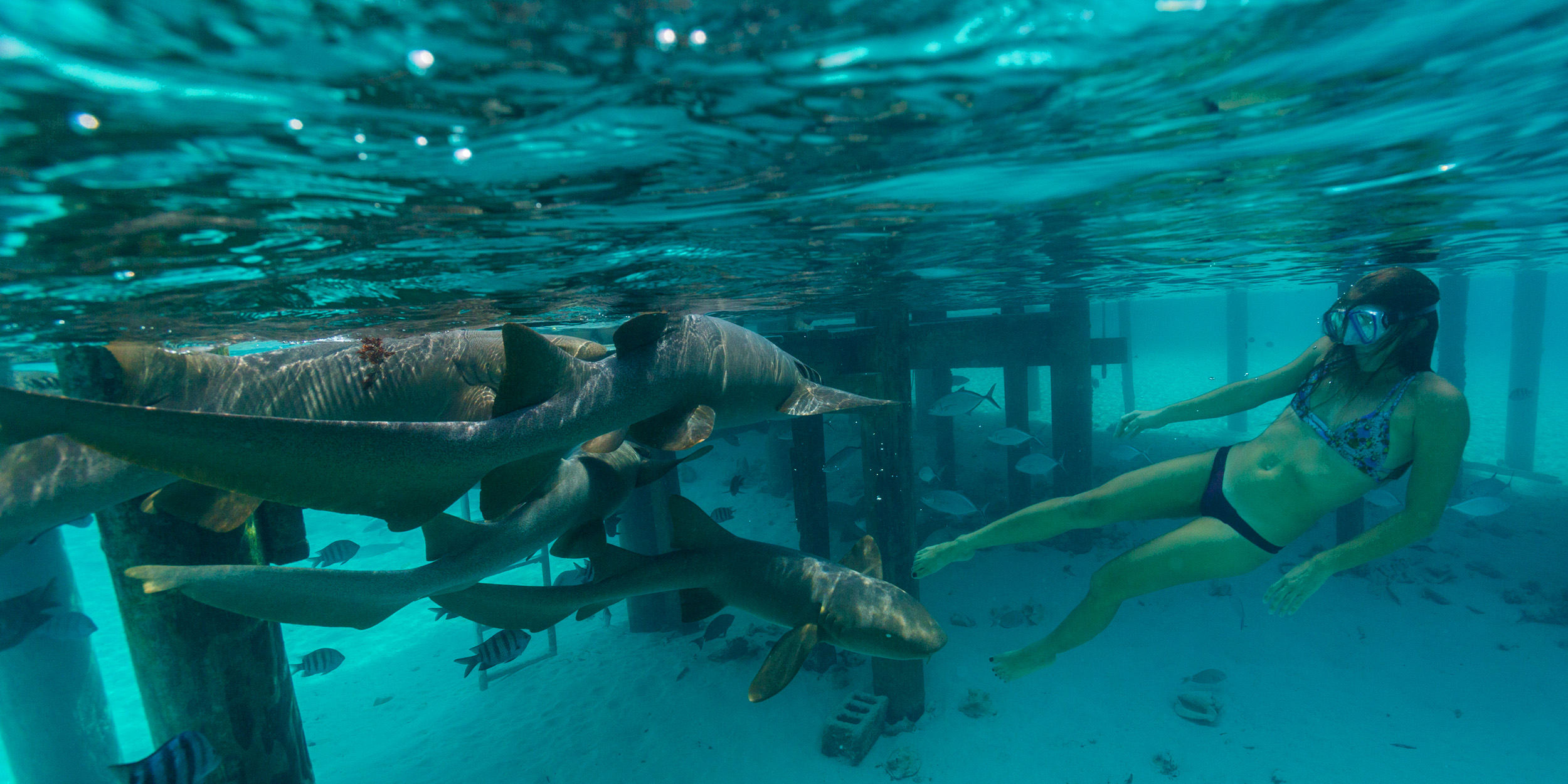 Snorkelling.jpg