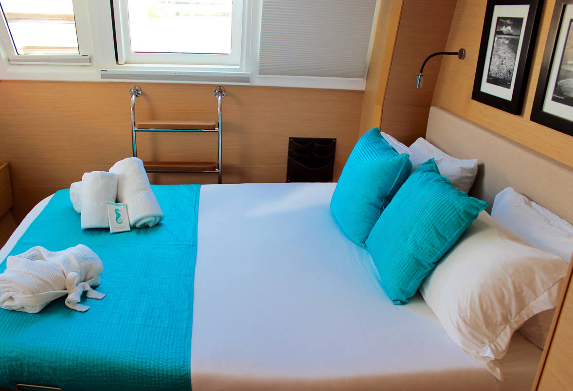 charter-catamaran-avalon-guest-cabin.jpg
