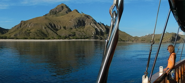 [TIGERBLUE]-6111-11.jpg