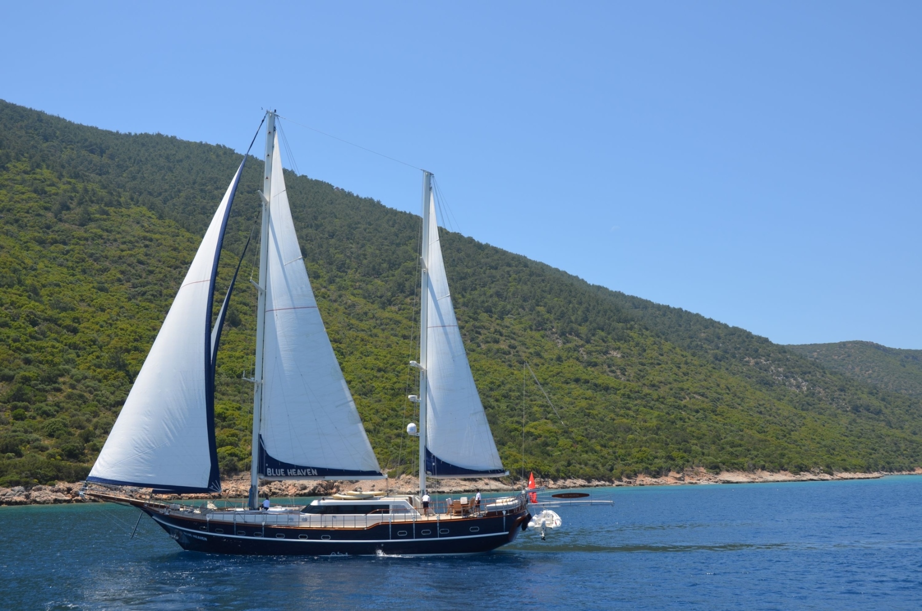 1495212517_blu1.jpg