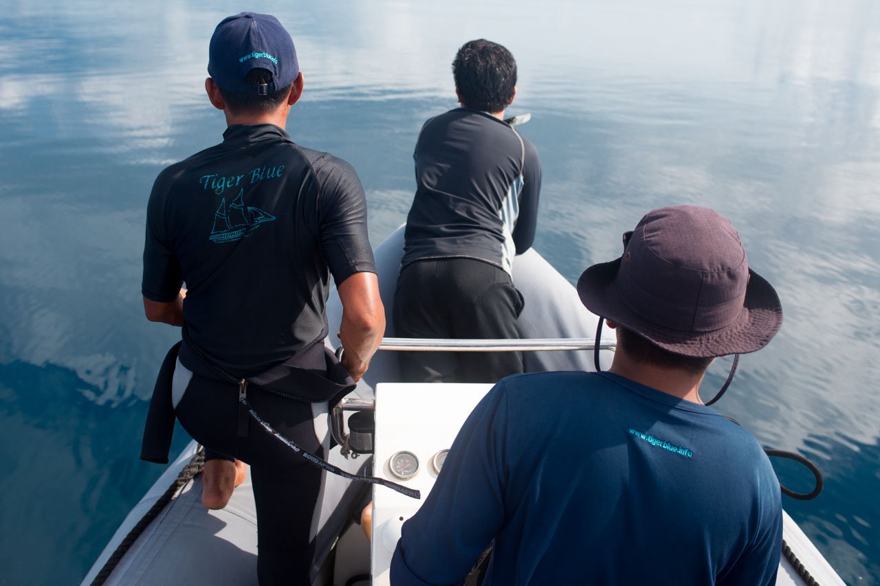 Crew  00002.jpg