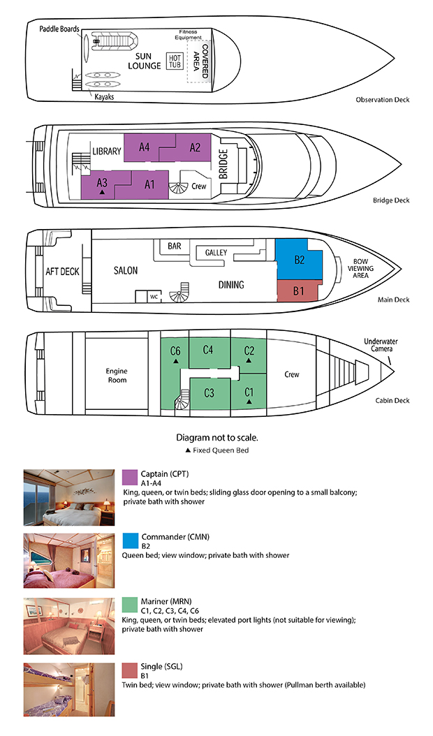 Deck plan .jpg