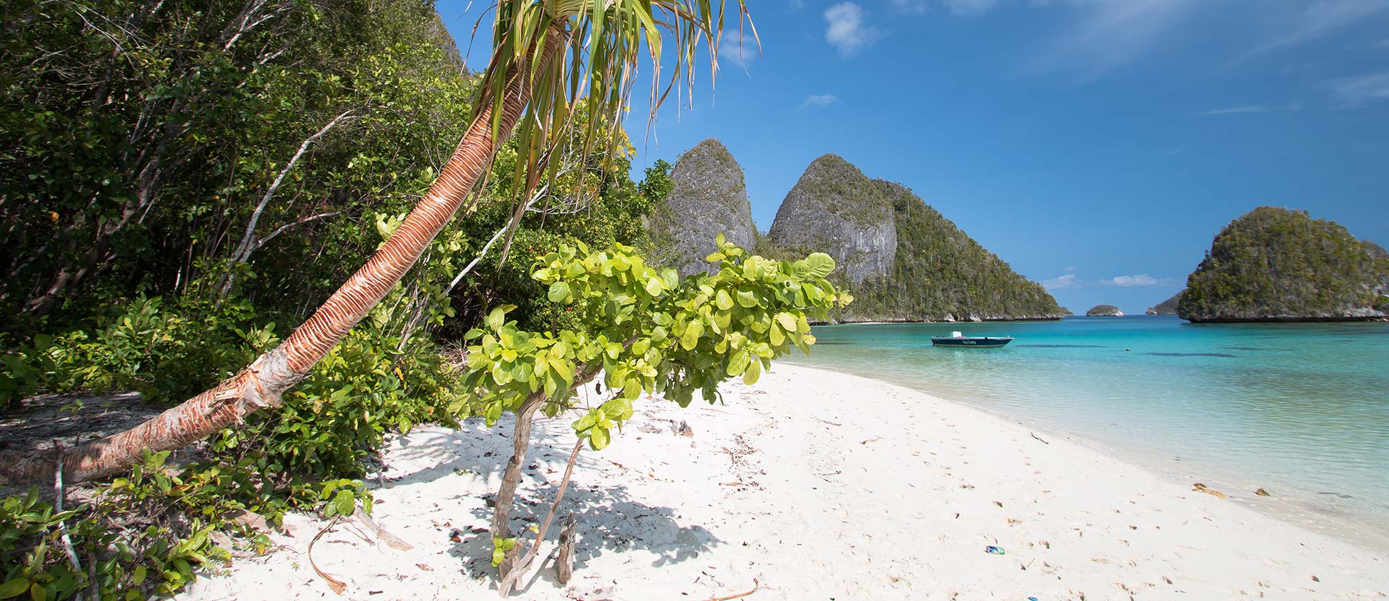 Destination - Raja Ampat.jpg
