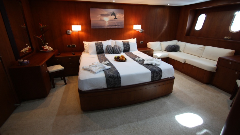 Dolphin Suite00002.jpg