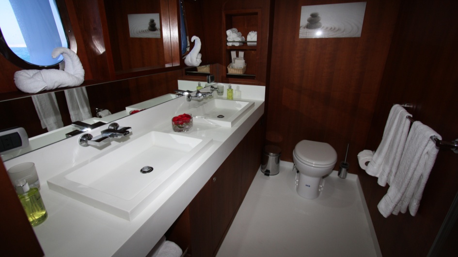Dolphin Suite00005.jpg