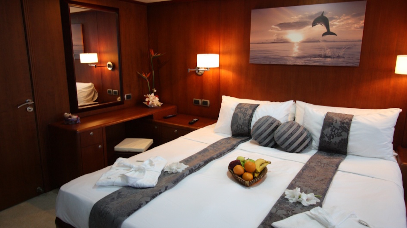 Dolphin Suite00007.jpg