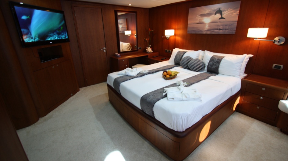 Dolphin Suite00008.jpg