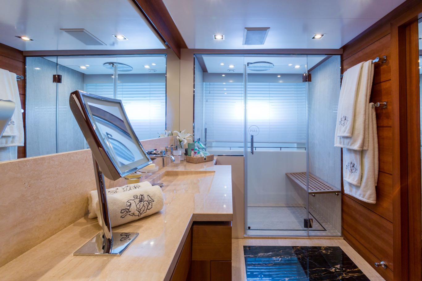 Master cabin bathroom.jpg