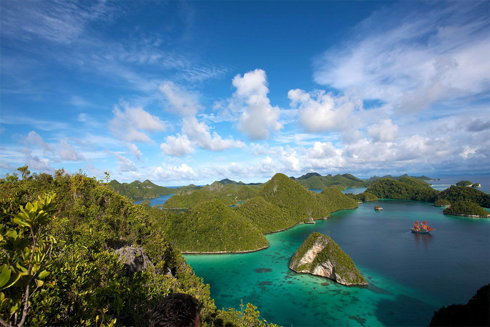 Tiger Blue in Indonesia 00001.jpg