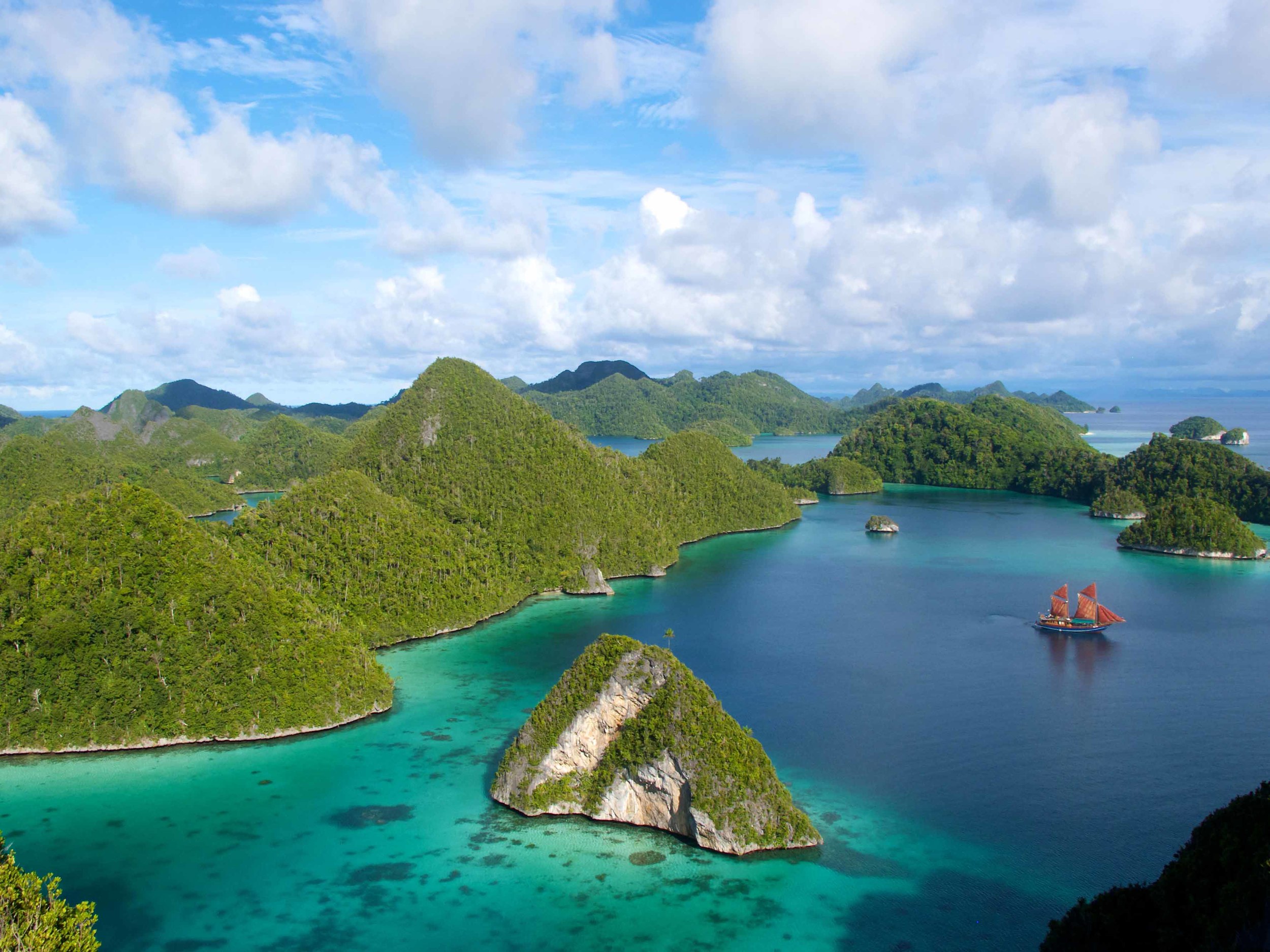 Tiger Blue in Raja Ampat.jpg