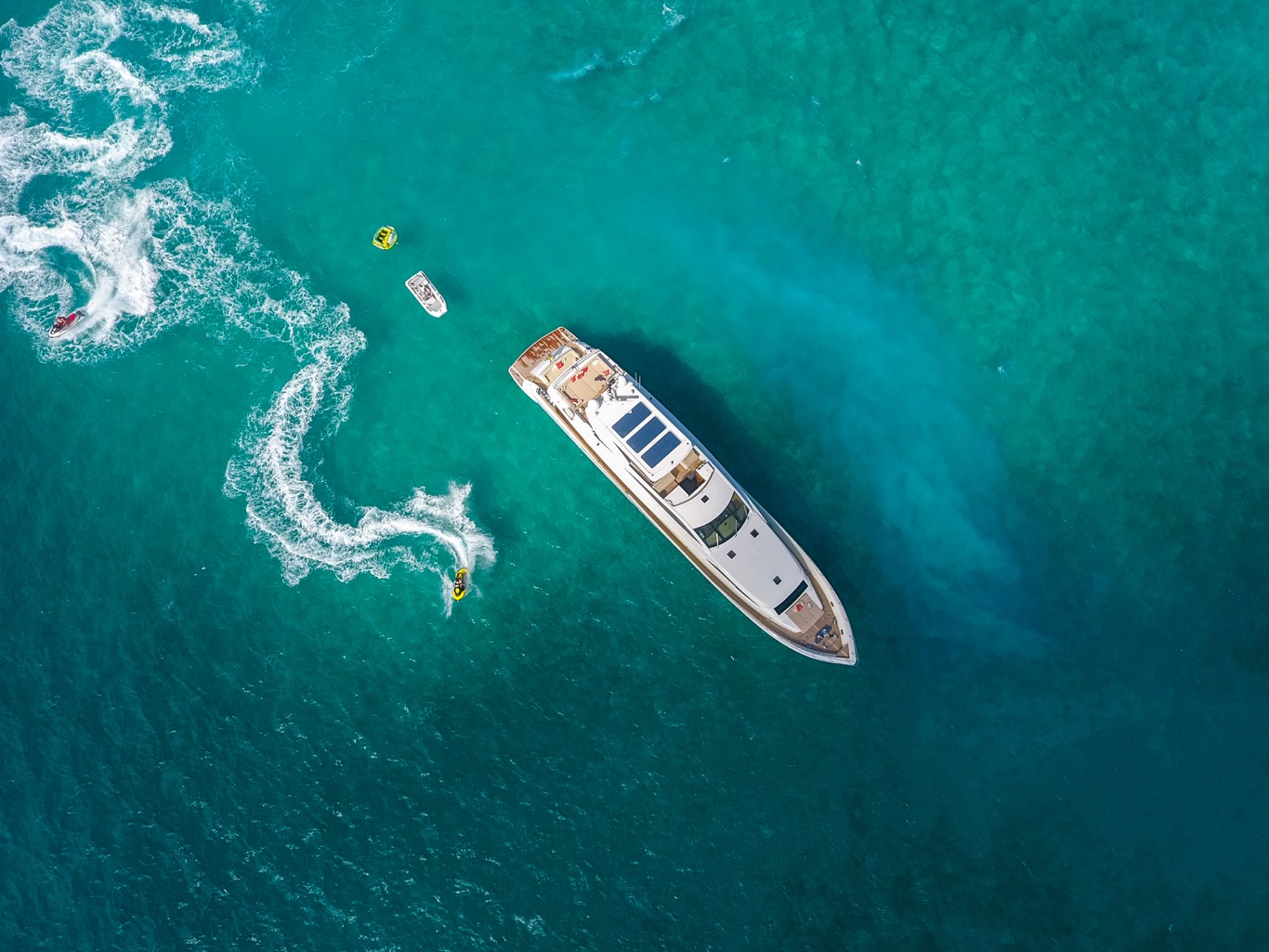 Top view. Photo credit Quin Bisset.jpg