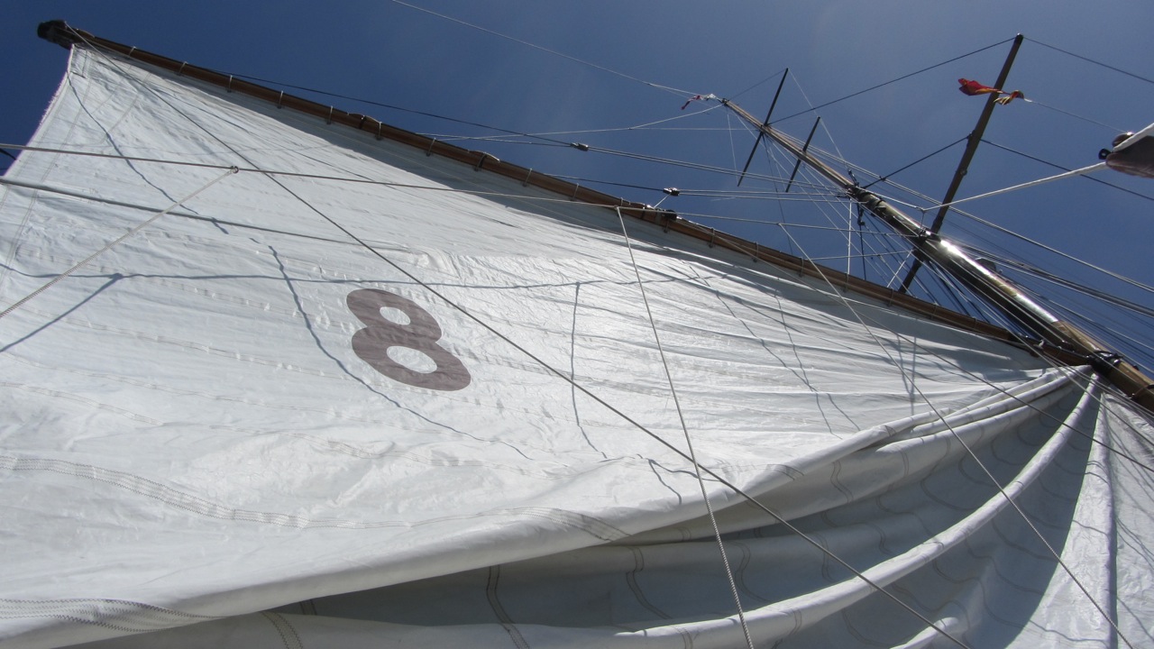 Yacht Moonbeam IV - raise the main.jpg
