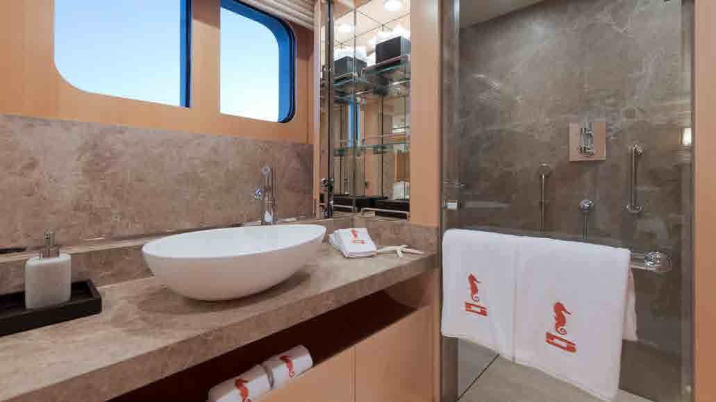 guest bathroom .png