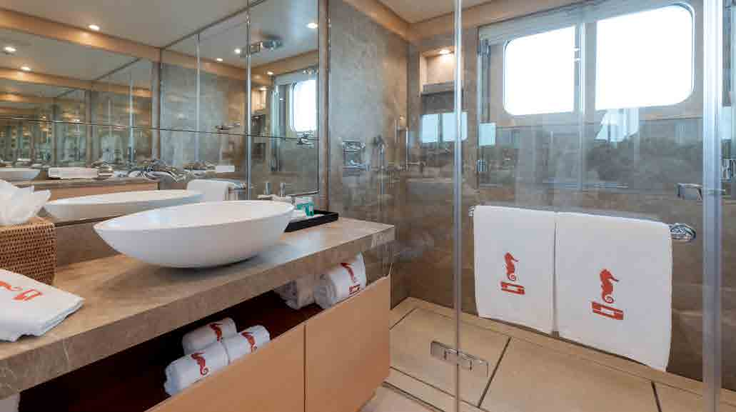 guest ensuite bathroom .png