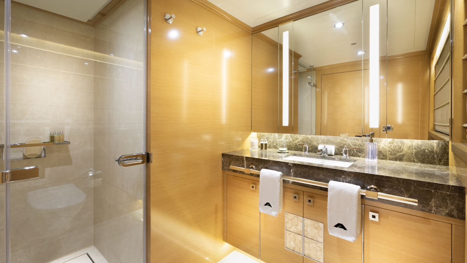 ATOM Interior - Ensuite.jpg