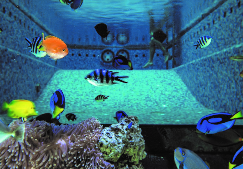 Aquarium .jpg