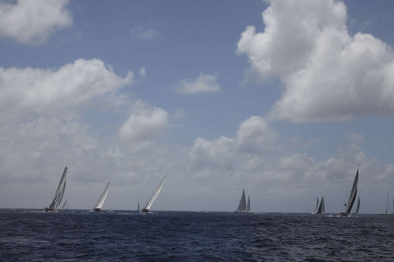 Charter Seahawk for the Best Regatta Events.jpg