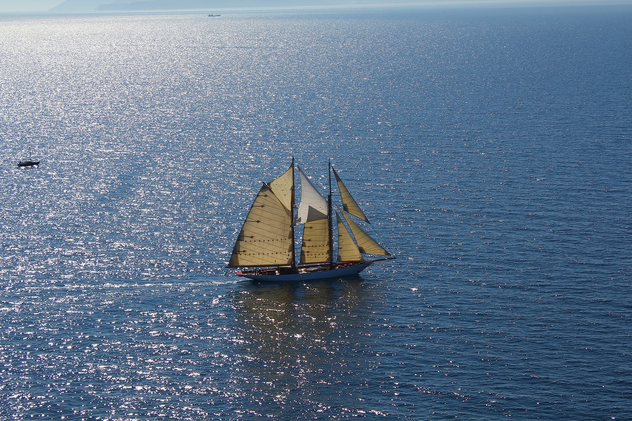 Exterior - aerial shot 00002.jpg