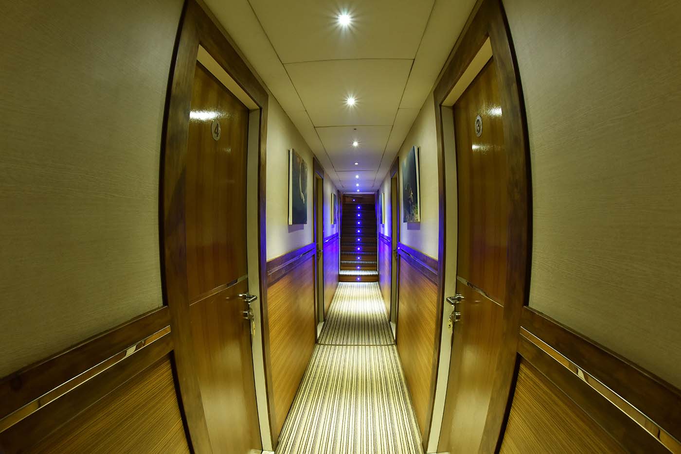 Honors_Legacy_WalkWay1.jpg