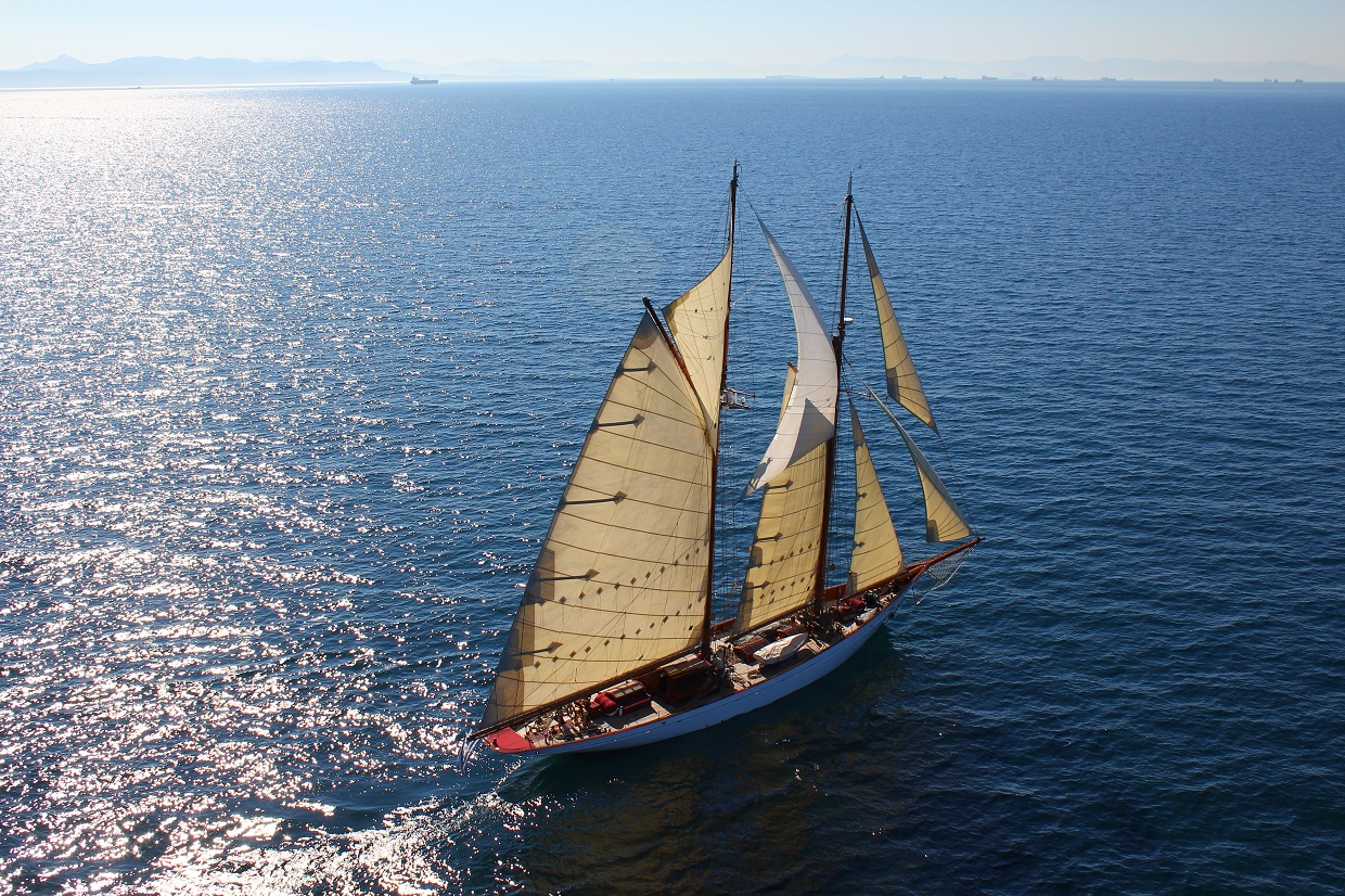 Sailing yacht Aello 00003.jpg