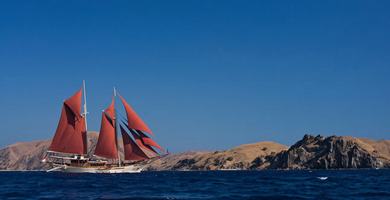 Sailing.png