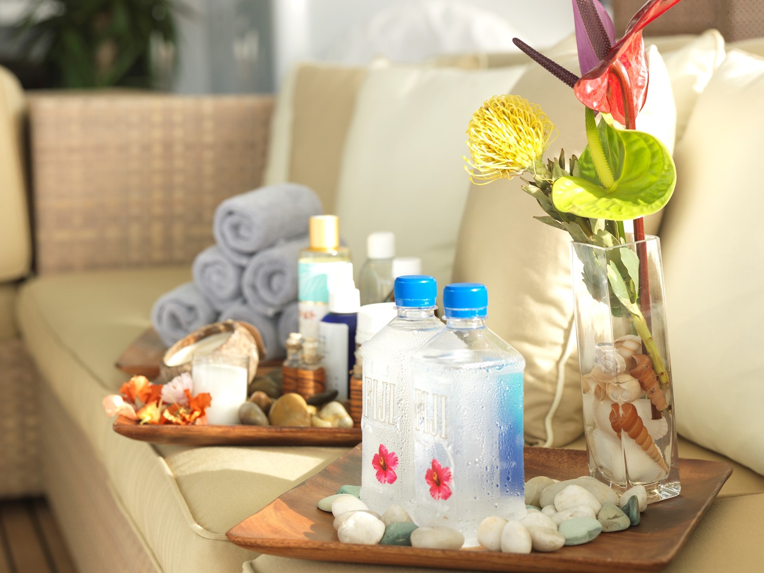 Spa products details.jpg