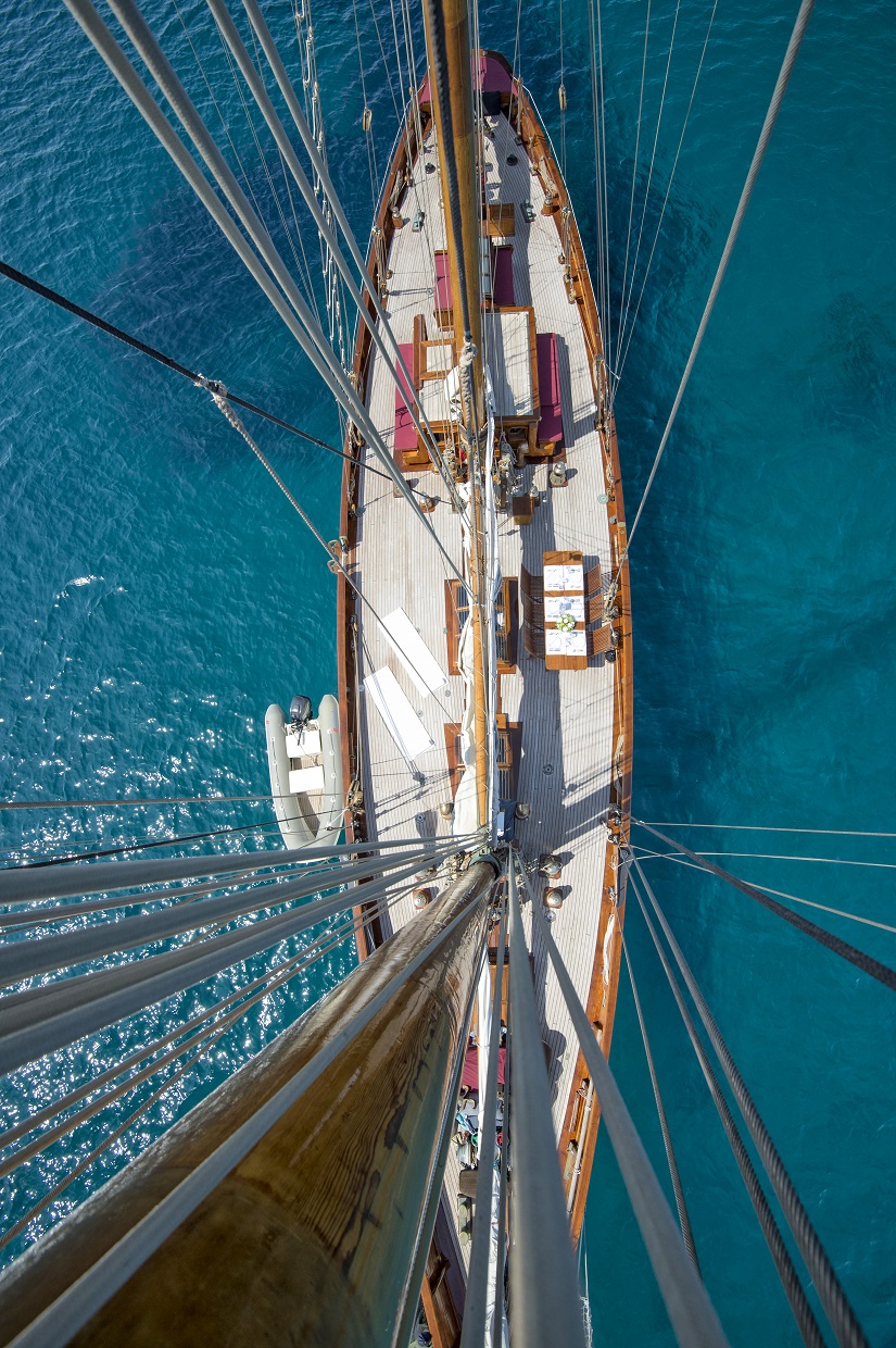 Top view 00001.jpg