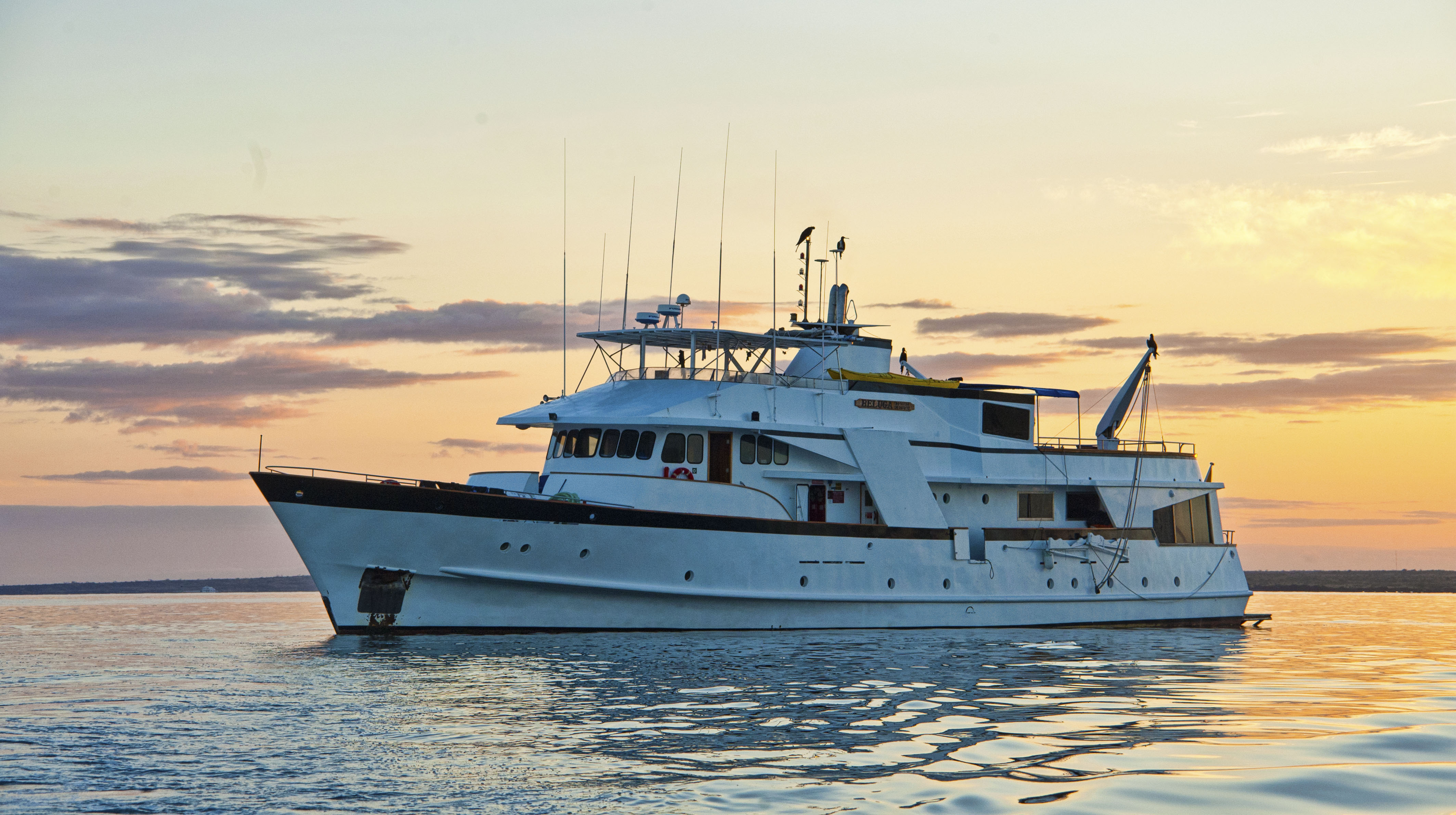 Yacht BELUGA 1.jpg