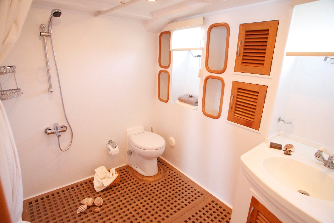 ensuite heads and shower.jpg