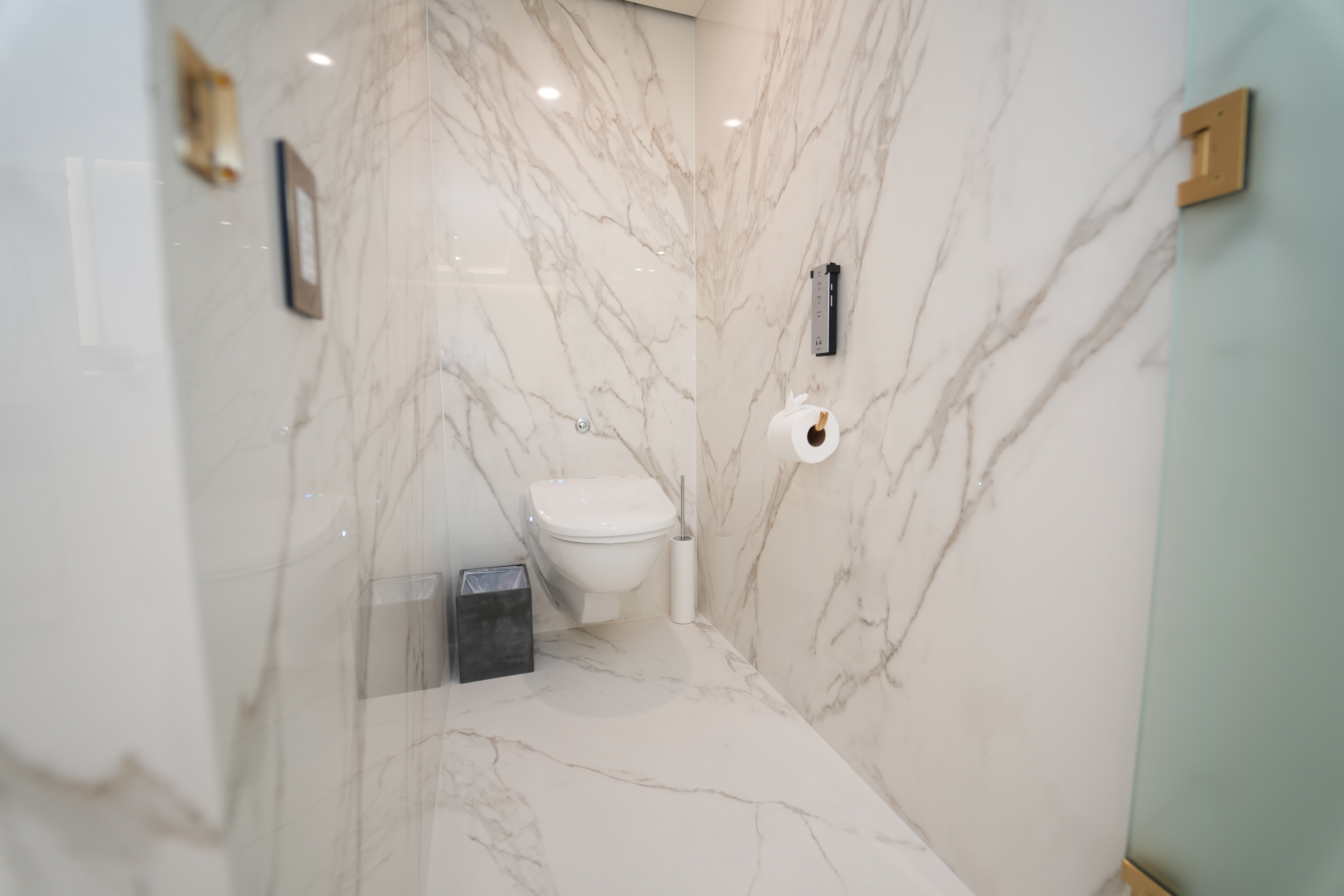 master toilet.jpg