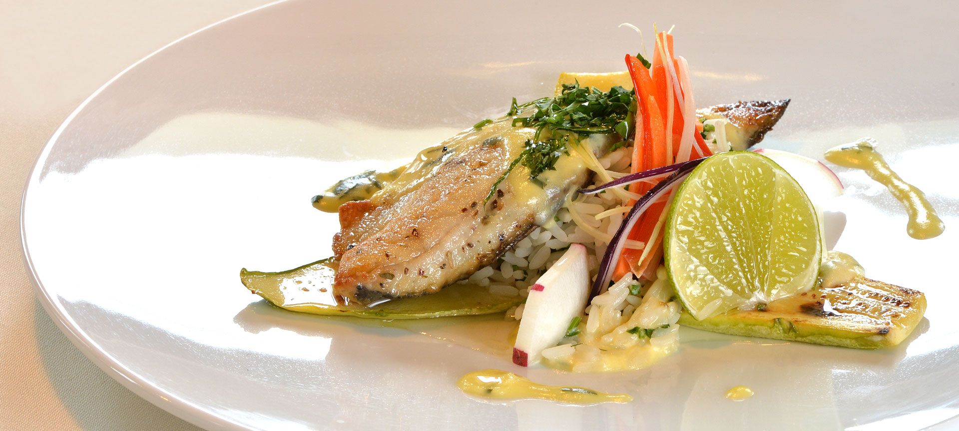 sample dish 2.jpg