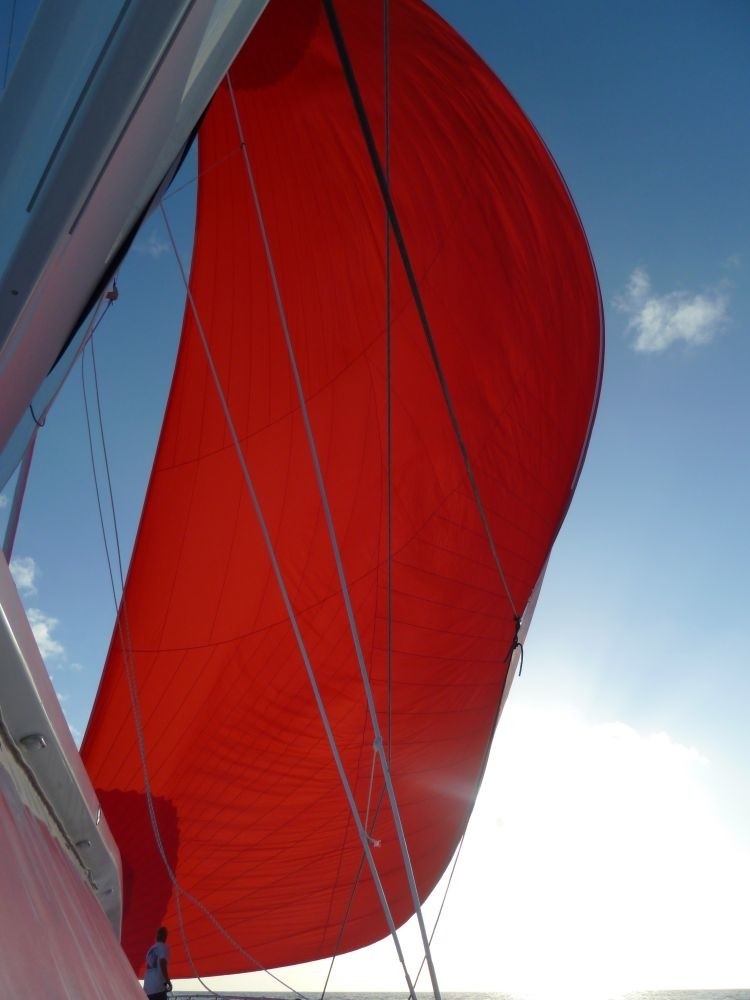 [23m-Yacht-CATTITUDE]-8689-101.jpg
