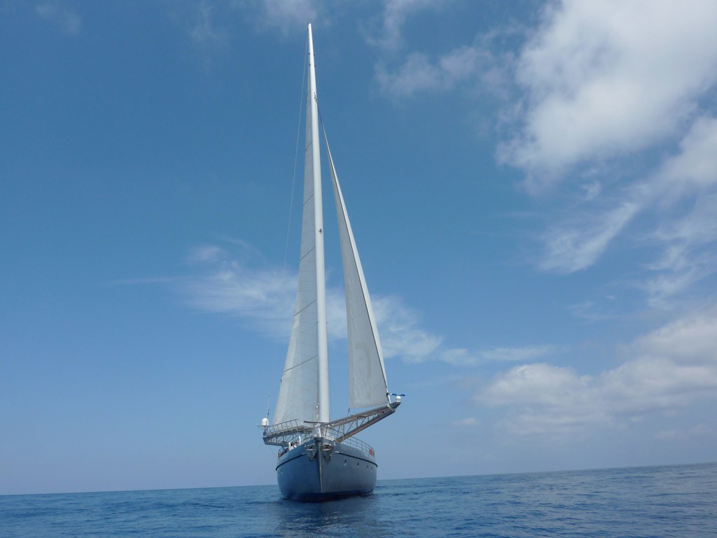 [48m-Yacht-DWINGER]-8703-83.jpg