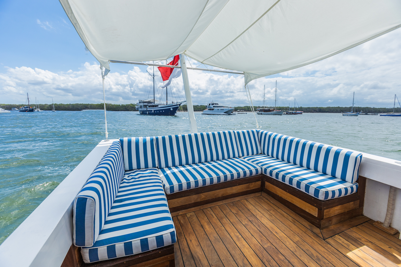 [SAILING-YACHT-ZEN]-8630-4.jpg