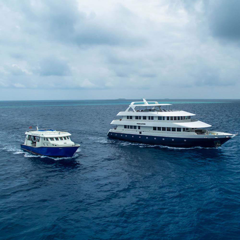 Ocean-Sapphire-liveaboard-boat-and-dive-tender.jpg
