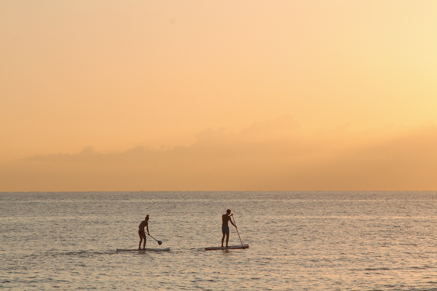 Paddle Board.jpg