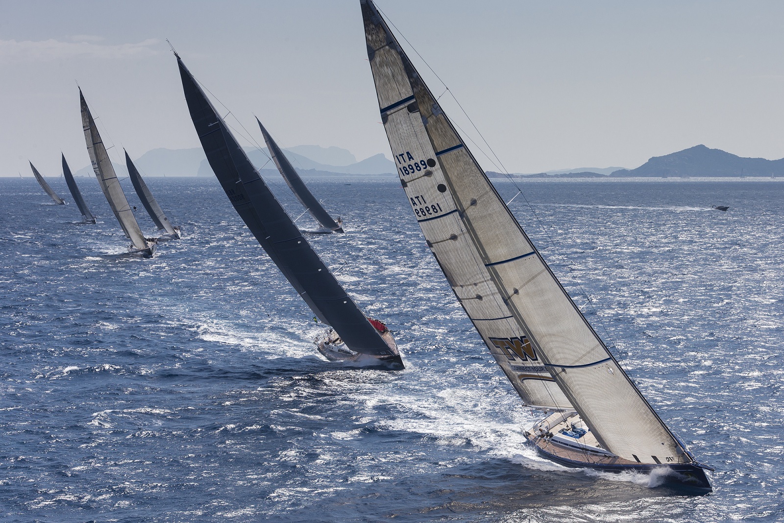 Swan Rolex Regatta.jpg