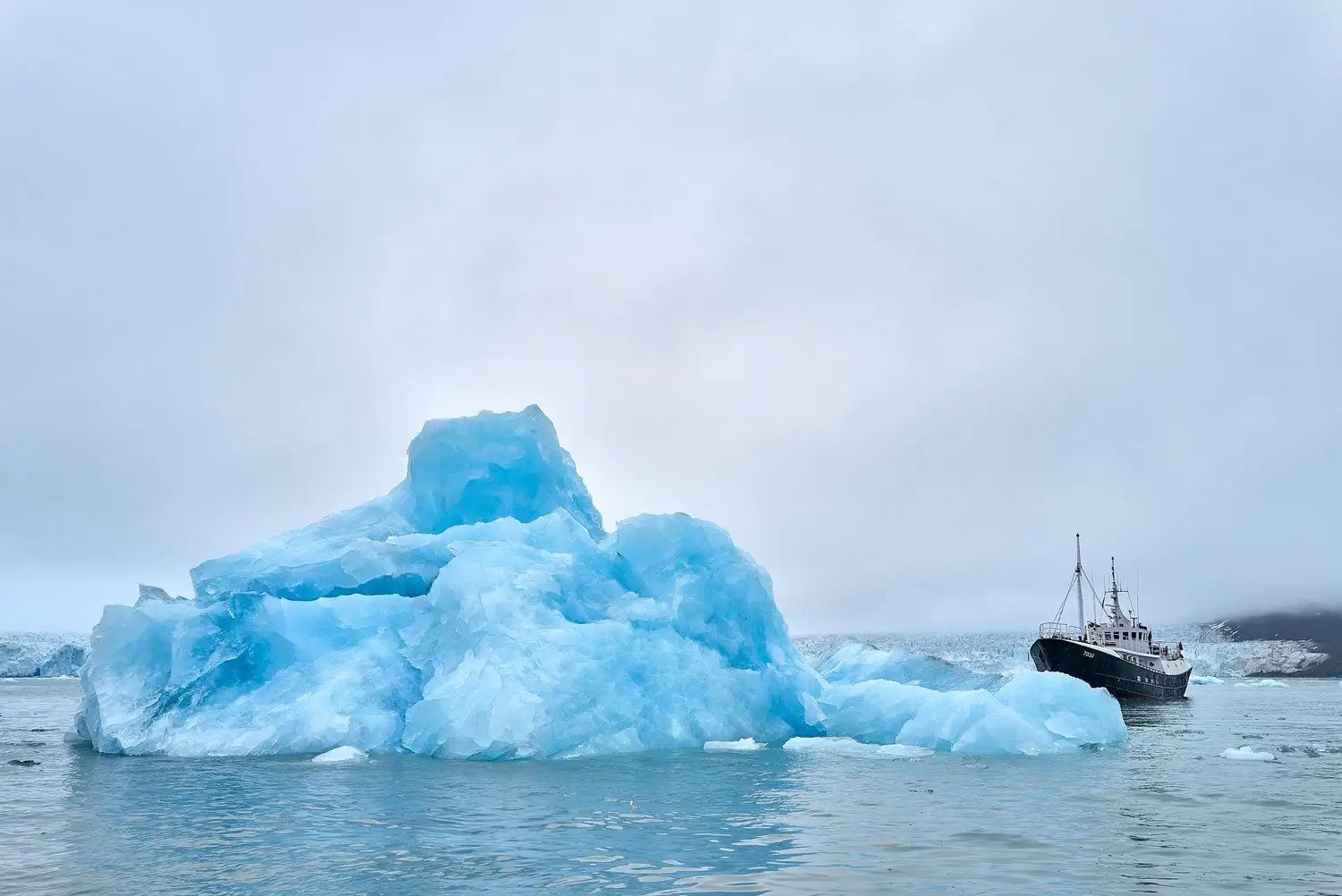 TOGO available in Svalbard and Greenland.jpg